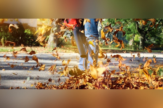 Alpharetta City Ordinance Forbids Leaf Disposal in Streets, Urges Proper Yard Waste Management