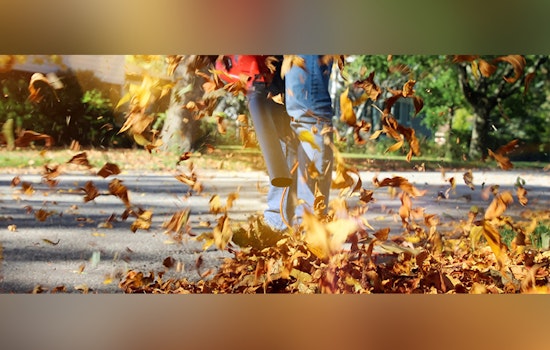 Alpharetta City Ordinance Forbids Leaf Disposal in Streets, Urges Proper Yard Waste Management