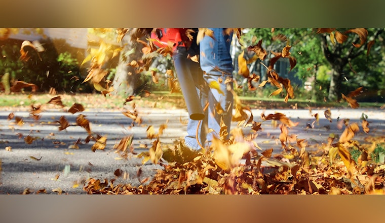 Alpharetta City Ordinance Forbids Leaf Disposal in Streets, Urges Proper Yard Waste Management