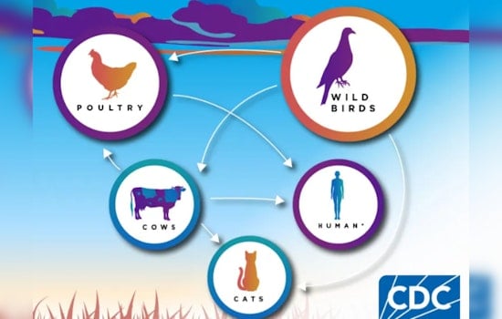 Arizona's Pinal County Detects Bird Flu at Commercial Farm, Launches Rapid Containment Measures