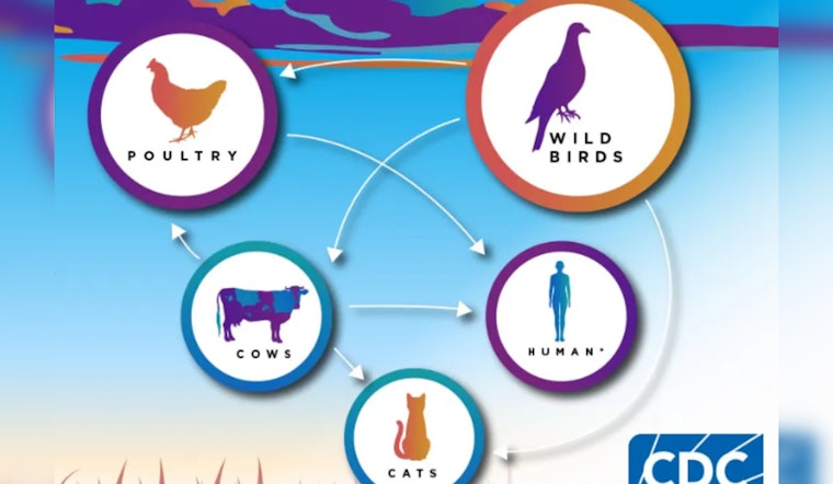 Arizona's Pinal County Detects Bird Flu at Commercial Farm, Launches Rapid Containment Measures