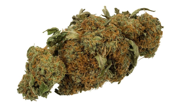 Arizona's Cannabis Conundrum: Balancing Quality and Conservation Amid a Dry Spell
