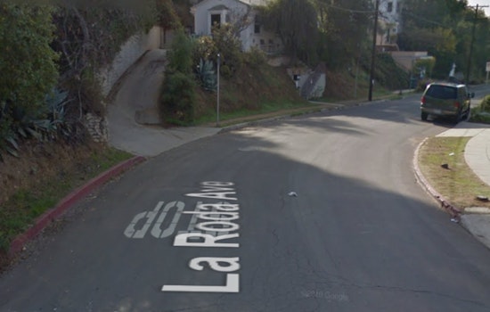 Armed Standoff in Eagle Rock Ends with Suspect Hospitalized, Dog-K9 Clash Reported by LAPD