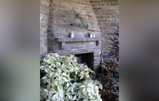 Asheville Offers Festive Charm with Governor's Western Residence Open House, Supports Hurricane Relief