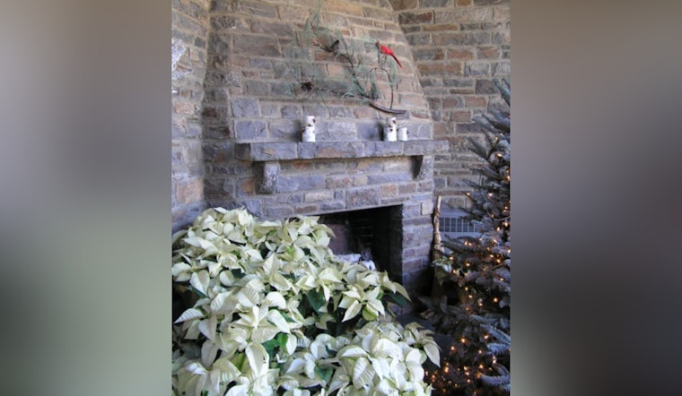 Asheville Offers Festive Charm with Governor's Western Residence Open House, Supports Hurricane Relief