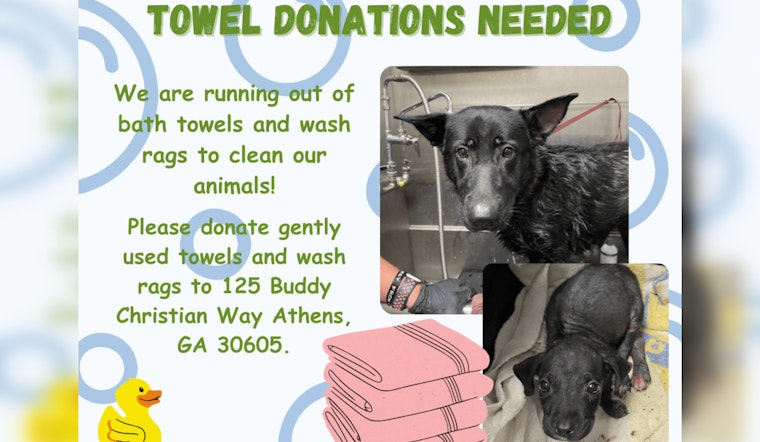 Athens-Clarke County Animal Services Seeks Towel Donations for Sheltered Animals