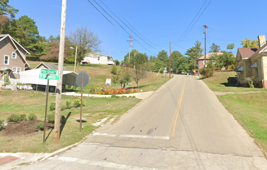 Athens County Officials and Humane Society Seek Leads After Dog Found Shot and Concealed in Nelsonville Pond