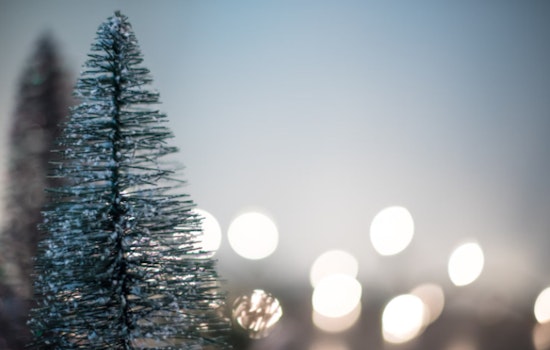 Atlanta Teens' "Trees for Tuition" Initiative Turns Festive Trees into Scholarships for Local Students
