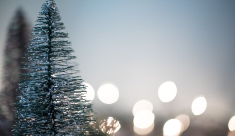 Atlanta Teens' "Trees for Tuition" Initiative Turns Festive Trees into Scholarships for Local Students