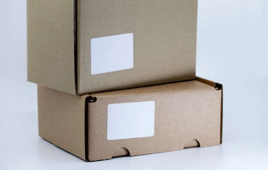 Authorities Warn of 'Porch Pirates' Amid Holiday Shopping Season, Tips to Protect Your Packages