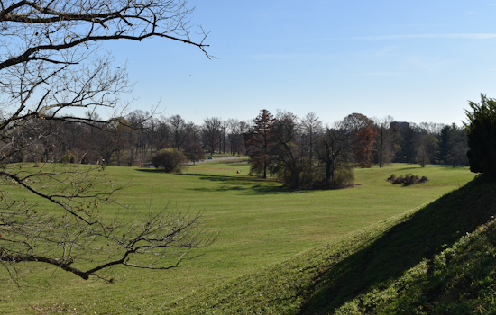 Baltimore Firefighters Quickly Contain Druid Hill Park Blaze Amid Statewide Burn Ban Concerns