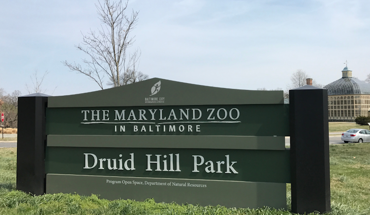 Baltimore's Maryland Zoo Excitedly Anticipates Public Debut of New Female Giraffe