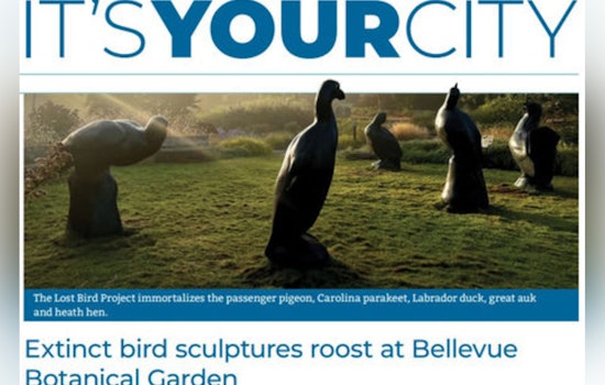 Bellevue Honors Extinct Birds with Sculptures, Boosts Greenery and Infrastructure