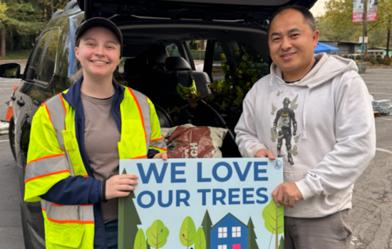 Bellevue Partners with Amazon and 300 Trees to Distribute Over 700 Free Trees to Residents