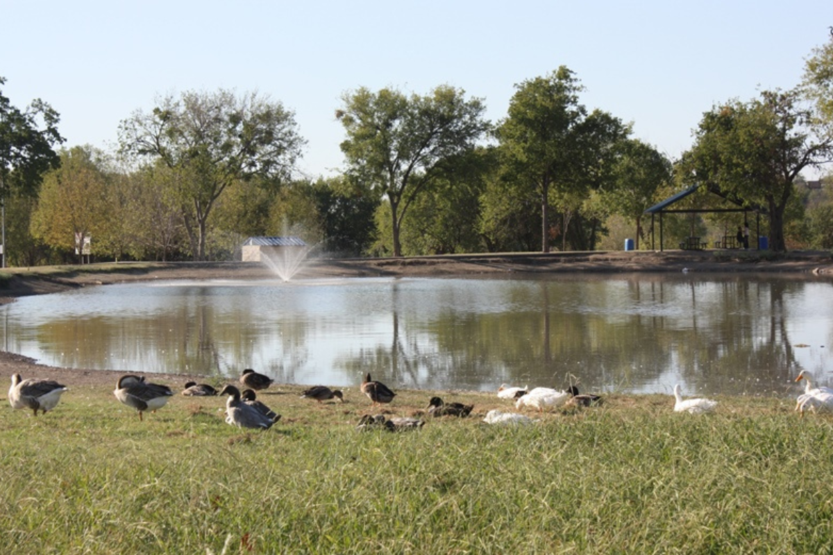 Benbrook Gears Up for 33rd Annual Christmas Tree Lighting and