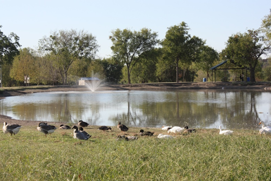 Benbrook Gears Up for 33rd Annual Christmas Tree Lighting and Fireworks Show at Dutch Branch Park
