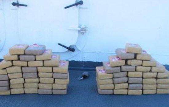 Berrien County Deputies Intercept 123 Pounds of Cocaine on I-94, Canadian Trucker Charged in Major Drug Bust