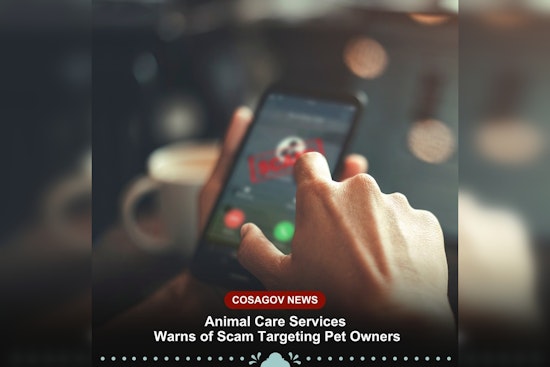 Beware, San Antonio Pet Owners: SAACS Alerts Public to New Pet Scam Exploiting Emotional Ties