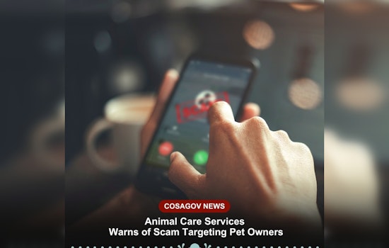 Beware, San Antonio Pet Owners: SAACS Alerts Public to New Pet Scam Exploiting Emotional Ties
