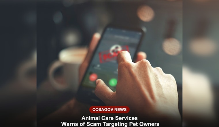 Beware, San Antonio Pet Owners: SAACS Alerts Public to New Pet Scam Exploiting Emotional Ties