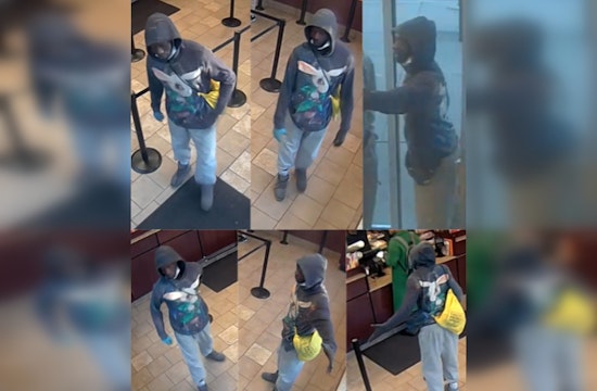 Boston Police Seek Help to Identify Suspect in Roxbury Vandalism Case