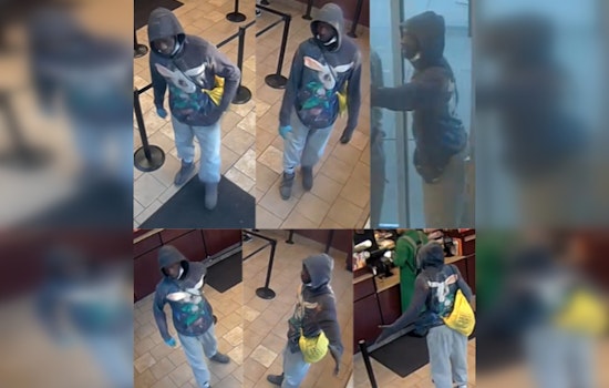 Boston Police Seek Help to Identify Suspect in Roxbury Vandalism Case