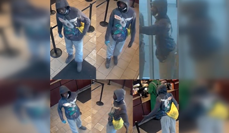 Boston Police Seek Help to Identify Suspect in Roxbury Vandalism Case