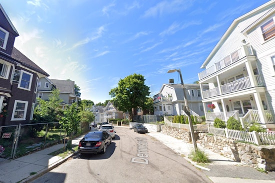 Boston Woman Dies After Dog Attack in Roxbury, Man and Two Officers Injured