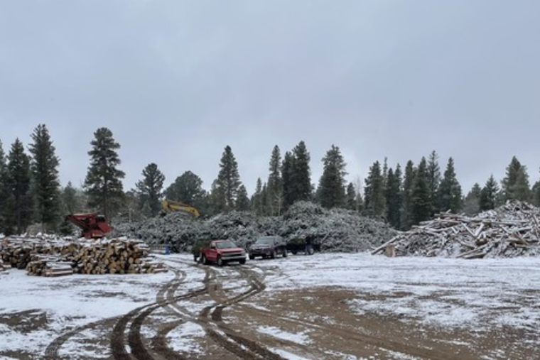 Boulder County Concludes Seasonal Free Forestry Service as Nederland and Meeker Park Sort Yards Shut for Winter