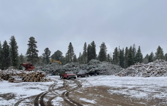 Boulder County Concludes Seasonal Free Forestry Service as Nederland and Meeker Park Sort Yards Shut for Winter