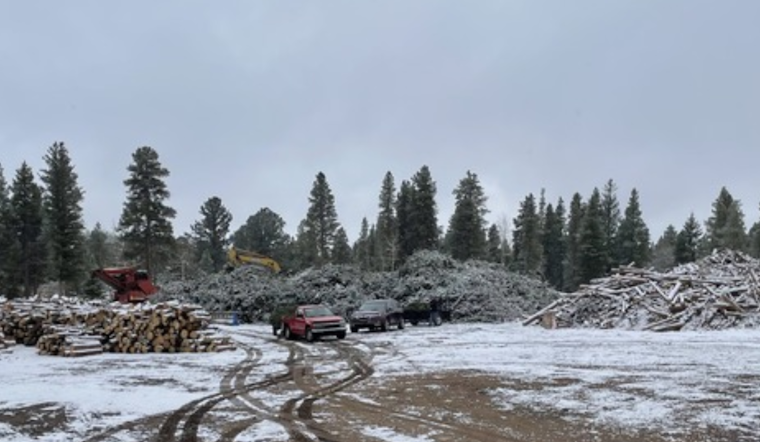 Boulder County Concludes Seasonal Free Forestry Service as Nederland and Meeker Park Sort Yards Shut for Winter