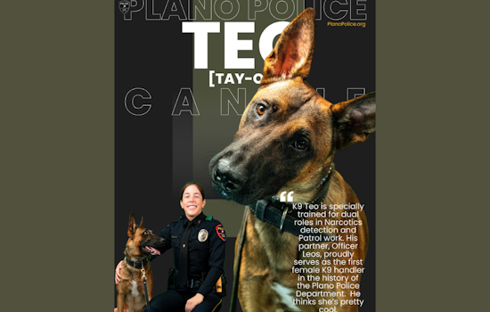Breaking Barriers: Plano Police Department Welcomes Its First Female K9 Handler, Officer Leos and Partner Teo