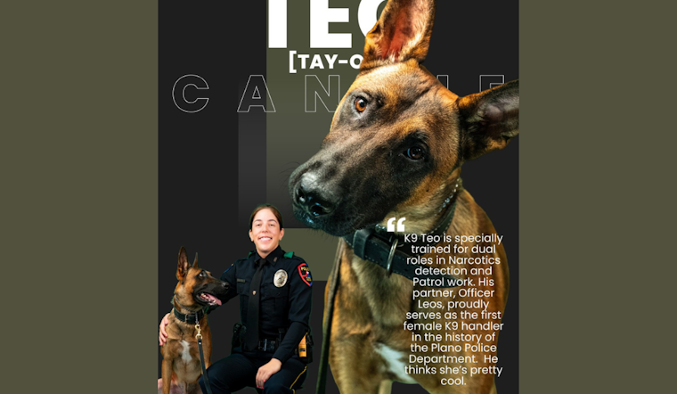 Breaking Barriers: Plano Police Department Welcomes Its First Female K9 Handler, Officer Leos and Partner Teo
