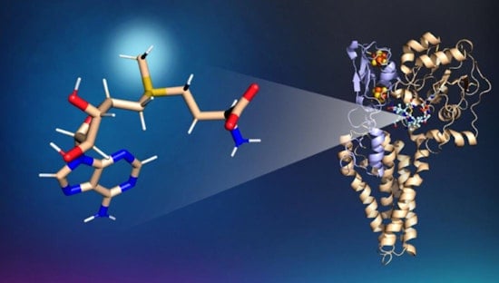 Breakthrough in Battle Against Mercury Pollution: ORNL and University of Michigan Uncover Possible Prevention Method