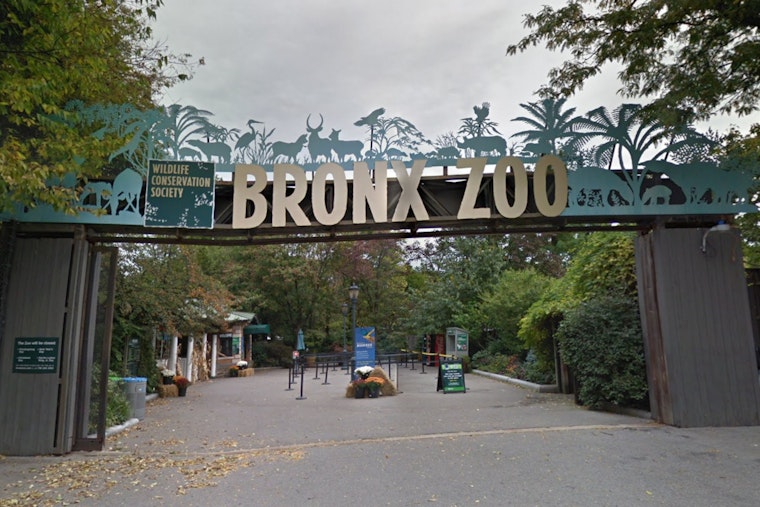 Bronx Zoo Celebrates 125th Anniversary with Debut Float in Macy's Thanksgiving Day Parade in Manhattan
