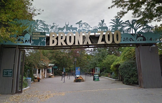 Bronx Zoo Celebrates 125th Anniversary with Debut Float in Macy's Thanksgiving Day Parade in Manhattan