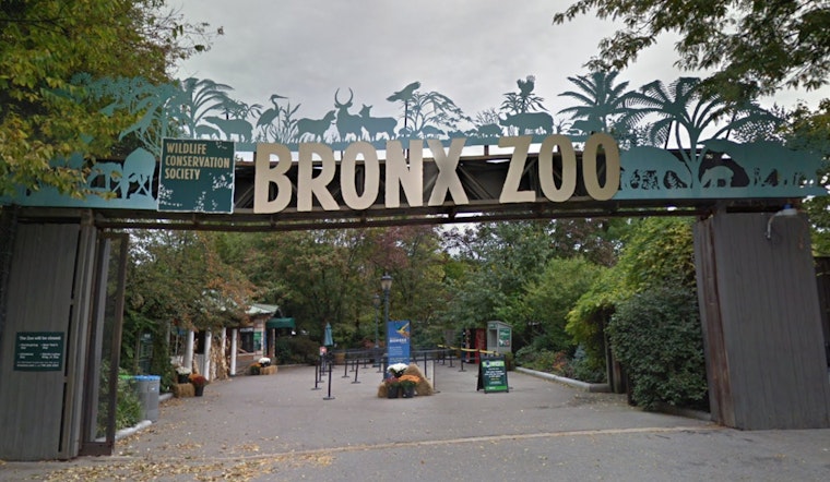 Bronx Zoo Celebrates 125th Anniversary with Debut Float in Macy's Thanksgiving Day Parade in Manhattan