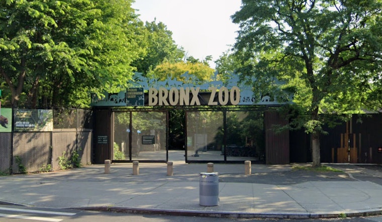 Bronx Zoo Sparkles with Return of Holiday Lights Event, A Bright Journey from Savannahs to Seas