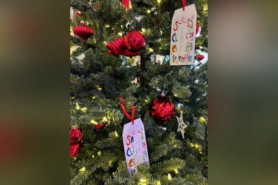 Cabarrus County Honors Wendy Gainey's Legacy with Charity Christmas Trees in Concord