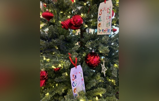 Cabarrus County Honors Wendy Gainey's Legacy with Charity Christmas Trees in Concord