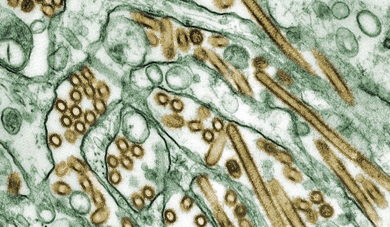 California Health Officials Issue Warning as Bird Flu Detected in Raw Milk, Fresno-Based Raw Farm LLC Initiates Recall