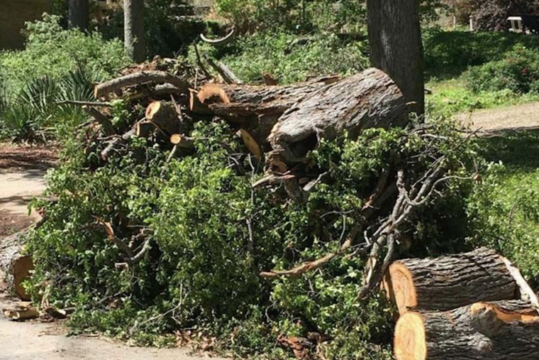Casselberry Announces Final Curbside Pickup for Hurricane Milton Debris, Deadline on December 2