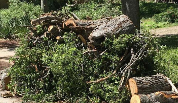 Casselberry Announces Final Curbside Pickup for Hurricane Milton Debris, Deadline on December 2