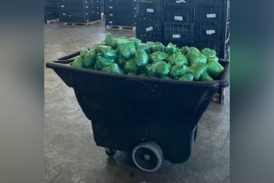 CBP Seizes Over $31 Million in Meth at Pharr International Bridge Hidden in Serrano Pepper Shipment