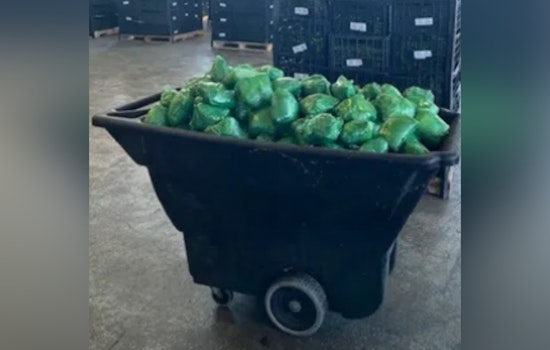 CBP Seizes Over $31 Million in Meth at Pharr International Bridge Hidden in Serrano Pepper Shipment