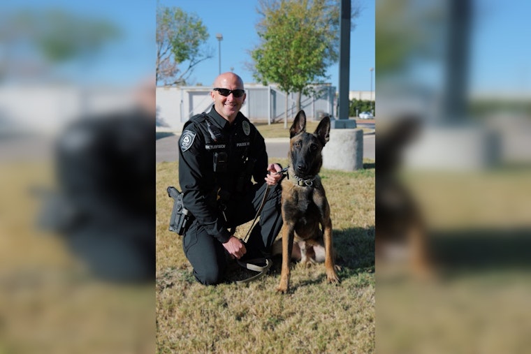 Cedar Park Police Department Boosts K9 Unit Roster with Top Graduate Belgian Malinois, Maverik