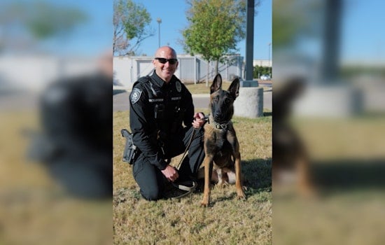 Cedar Park Police Department Boosts K9 Unit Roster with Top Graduate Belgian Malinois, Maverik