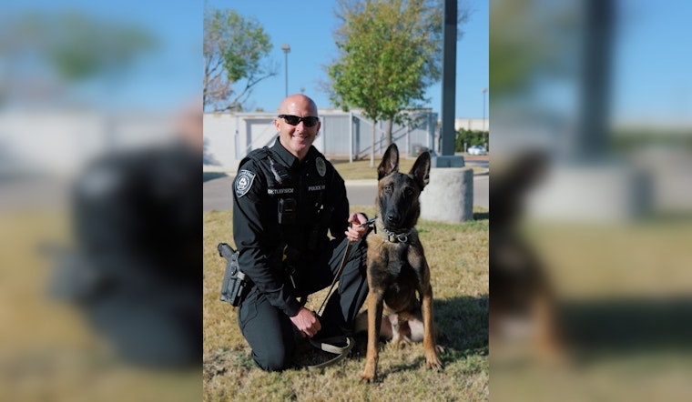 Cedar Park Police Department Boosts K9 Unit Roster with Top Graduate Belgian Malinois, Maverik