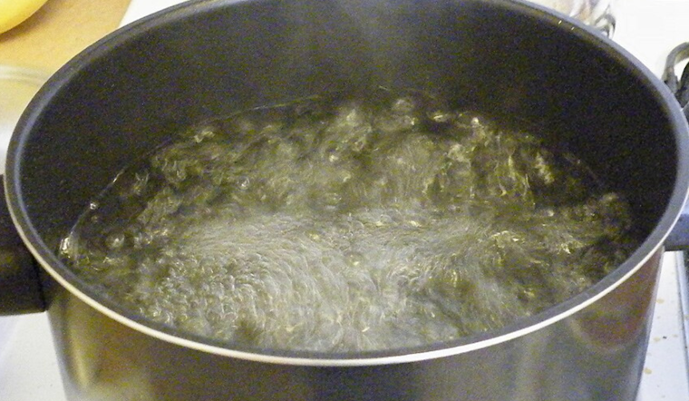 Cedar Springs Issues Boil Water Advisory, Shuts Down Schools Amid Water System Issue