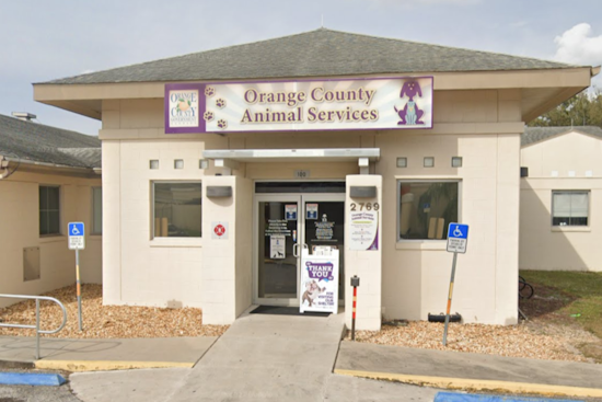 Central Florida Pet Owners Alerted to Scam by Orange County Animal Services